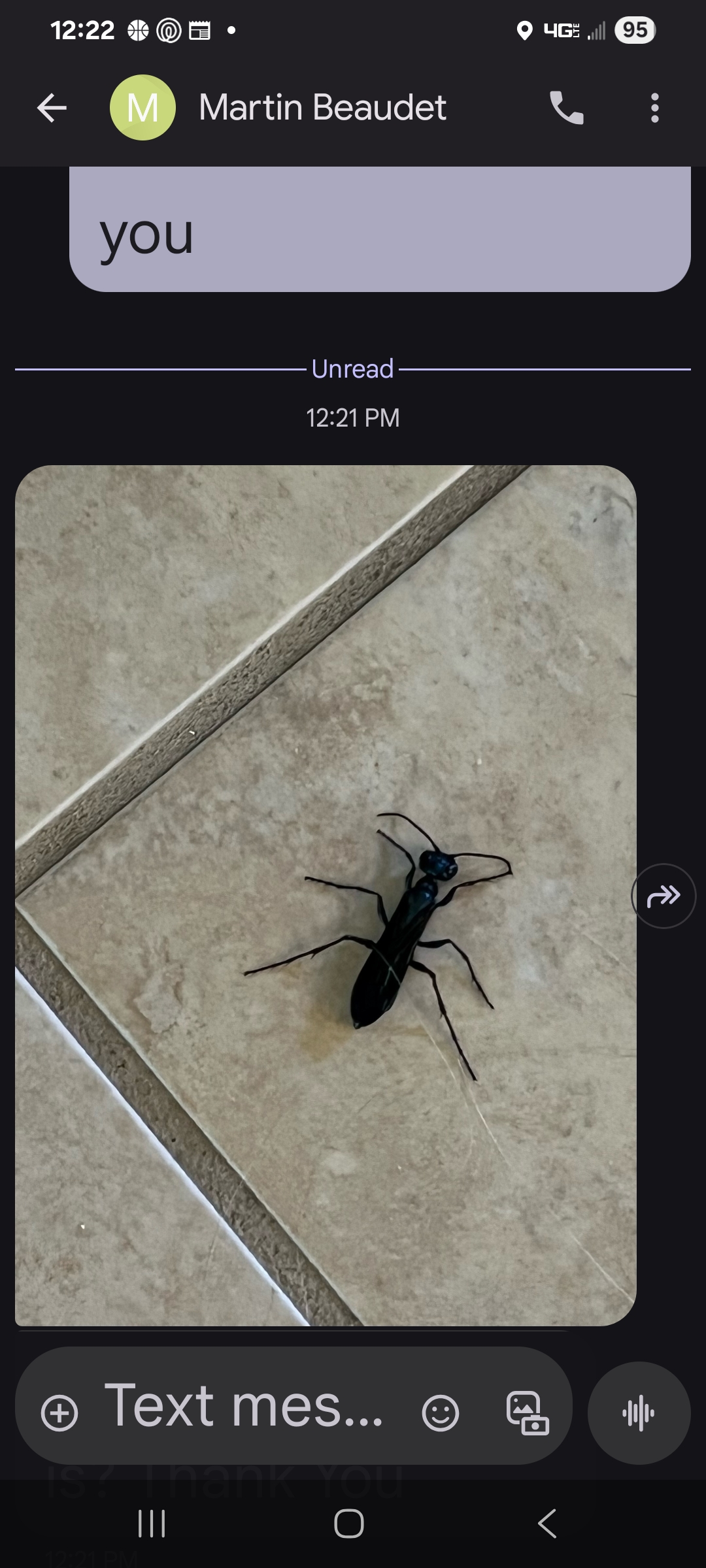 Residential Pest Control Maintenance