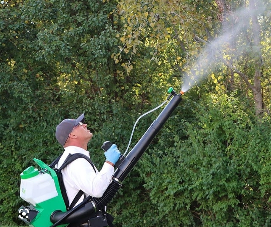 Specialty Pest and Wasp Removal